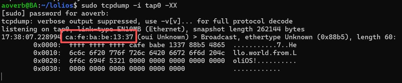 image-20260305173821064