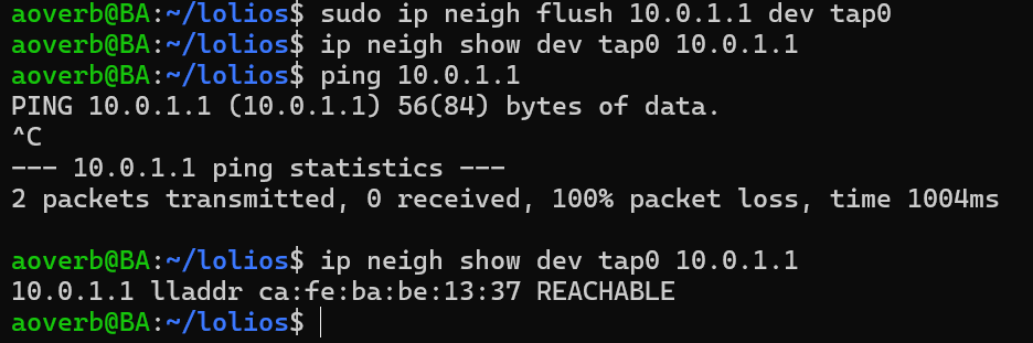 image-20260306012415729